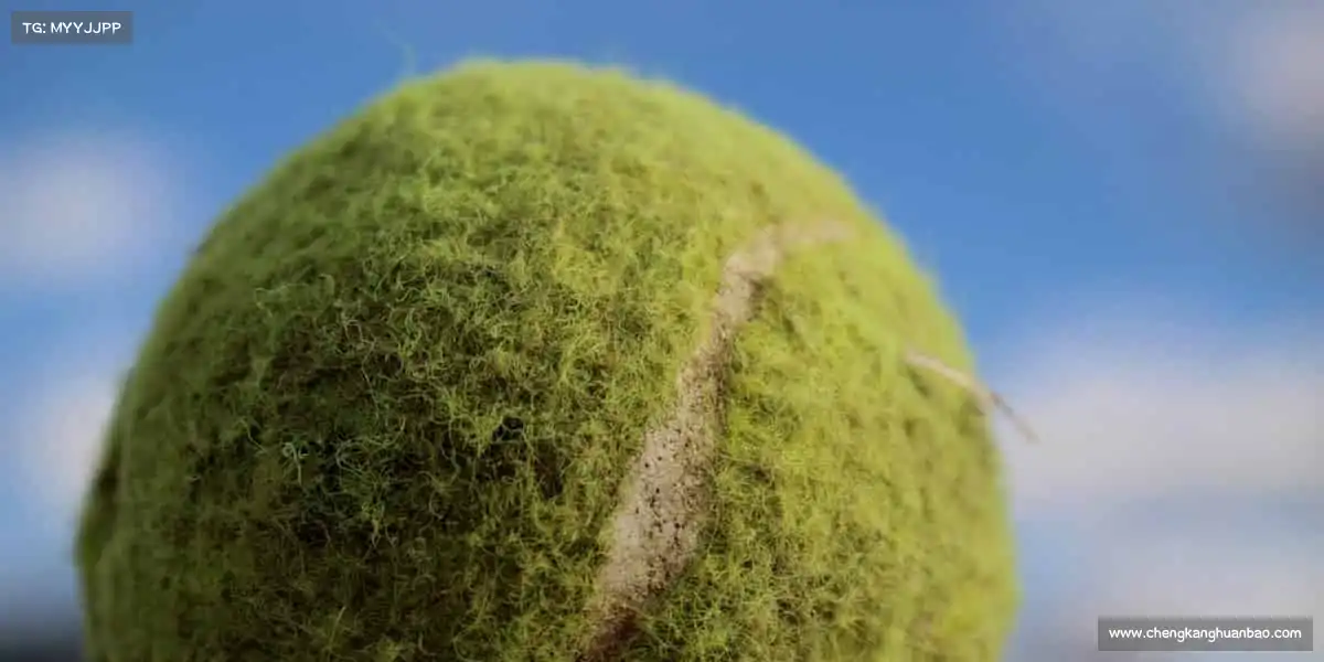 <strong>2026世界杯官网</strong>从这里出发，每一次挑战都是成长！✨